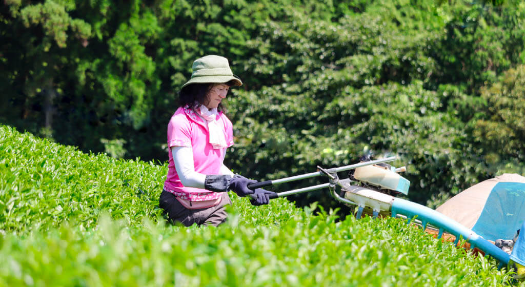 ABOUT ななともについて